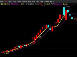 只做龙头股主图
