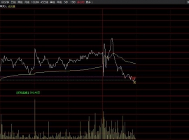 机构大单买入分时主图