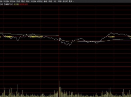 王者做T分时主图