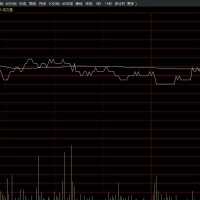 分时做T提示主图