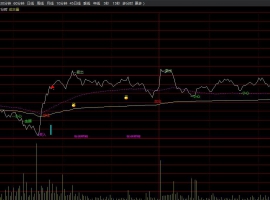 大牛做T分时主图