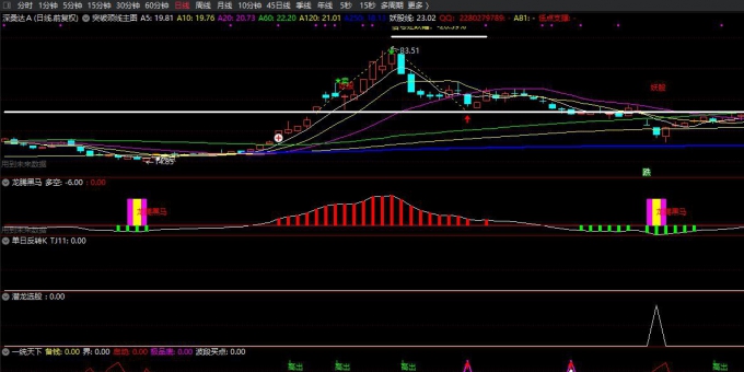 张穗鸿教皇九五至尊主图+副图+选